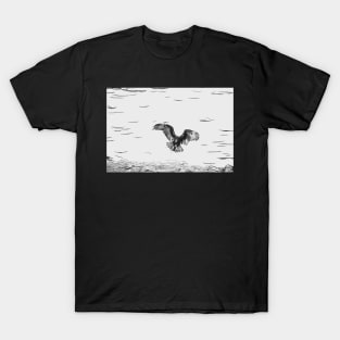 Vulture Coming In For Landing by Debra Martz T-Shirt